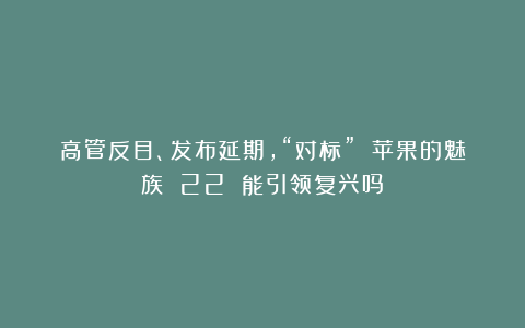 高管反目、发布延期，“对标” 苹果的魅族 22 能引领复兴吗？