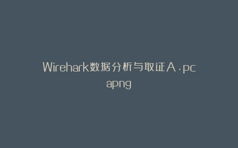 Wirehark数据分析与取证A.pcapng
