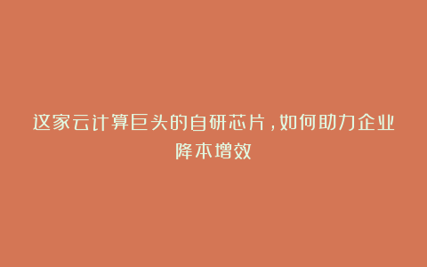 这家云计算巨头的自研芯片，如何助力企业降本增效？