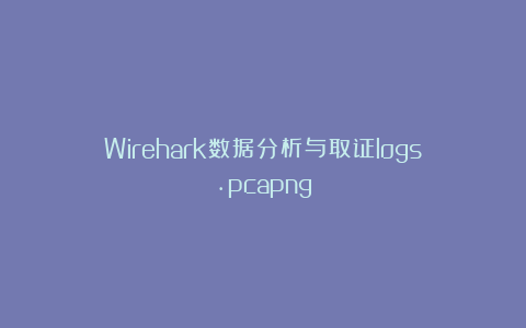 Wirehark数据分析与取证logs.pcapng