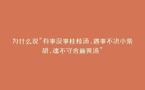 为什么说“有事没事桂枝汤，遇事不决小柴胡，魂不守舍麻黄汤”？