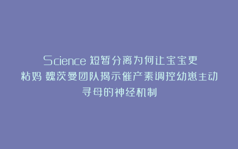 《Science》短暂分离为何让宝宝更粘妈？魏茨曼团队揭示催产素调控幼崽主动寻母的神经机制