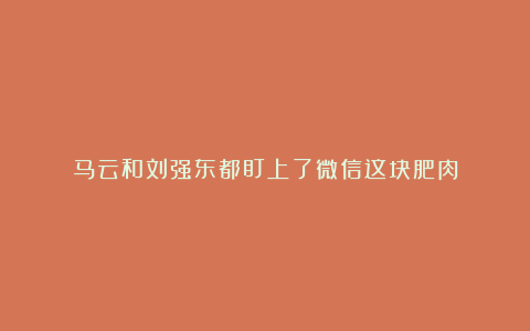 马云和刘强东都盯上了微信这块肥肉