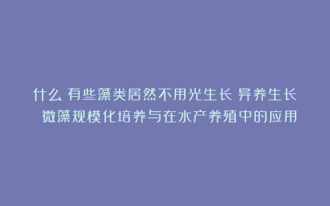 什么？有些藻类居然不用光生长（异养生长）：微藻规模化培养与在水产养殖中的应用