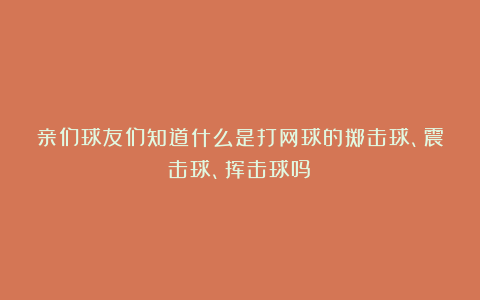 亲们球友们知道什么是打网球的掷击球、震击球、挥击球吗？