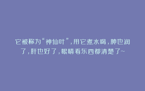 它被称为“神仙叶”，用它煮水喝，肺也润了，肝也好了，眼睛看东西都清楚了~