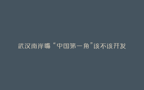 武汉南岸嘴：“中国第一角”该不该开发？