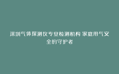 深圳气体探测仪专业检测机构：家庭用气安全的守护者
