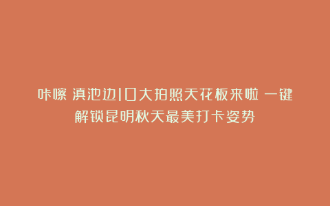 咔嚓！滇池边10大拍照天花板来啦！一键解锁昆明秋天最美打卡姿势
