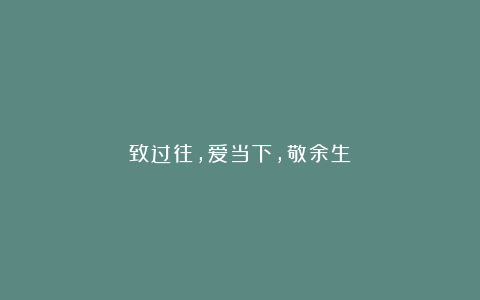 致过往，爱当下，敬余生