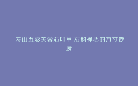 《寿山五彩芙蓉石印章：石韵禅心的方寸妙境》