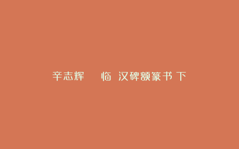 辛志辉 | 临 汉碑额篆书（下）