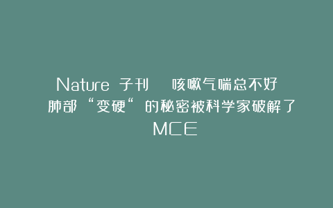 Nature 子刊 | 咳嗽气喘总不好 肺部 “变硬“ 的秘密被科学家破解了！| MCE