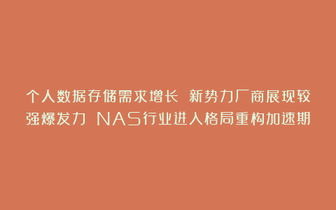个人数据存储需求增长 新势力厂商展现较强爆发力 NAS行业进入格局重构加速期