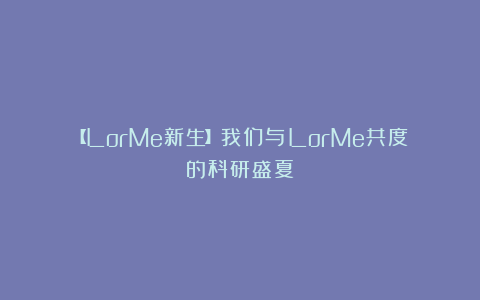 【LorMe新生】我们与LorMe共度的科研盛夏