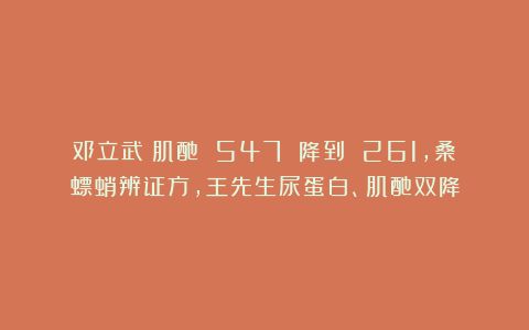 邓立武：肌酐 547 降到 261，桑螵蛸辨证方，王先生尿蛋白、肌酐双降