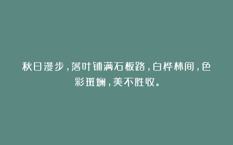 秋日漫步，落叶铺满石板路，白桦林间，色彩斑斓，美不胜收。