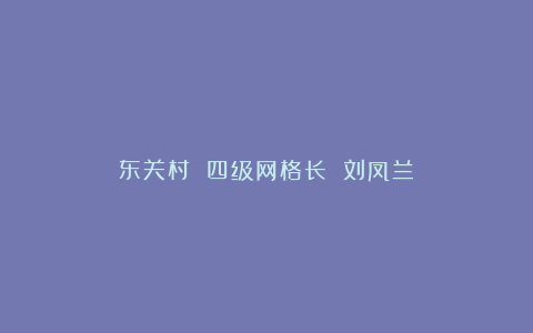 东关村 四级网格长 刘凤兰