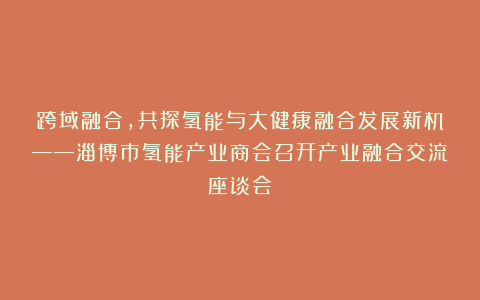 跨域融合，共探氢能与大健康融合发展新机——淄博市氢能产业商会召开产业融合交流座谈会