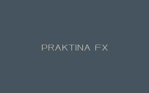 PRAKTINA FX