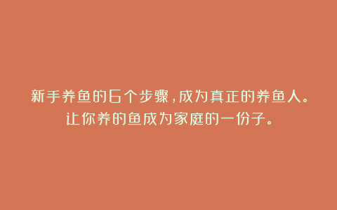 新手养鱼的6个步骤，成为真正的养鱼人。让你养的鱼成为家庭的一份子。
