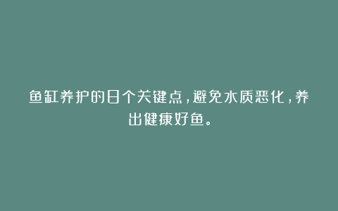 鱼缸养护的8个关键点，避免水质恶化，养出健康好鱼。