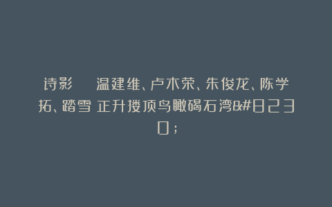 诗影 | 温建维、卢木荣、朱俊龙、陈学拓、踏雪：正升搂顶鸟瞰碣石湾…