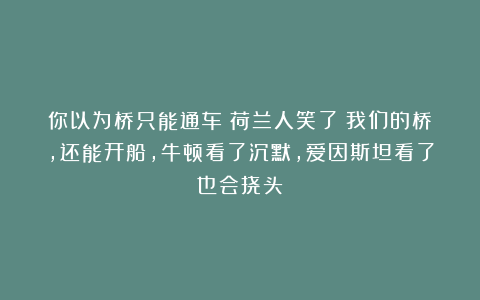 你以为桥只能通车？荷兰人笑了：我们的桥，还能开船，牛顿看了沉默，爱因斯坦看了也会挠头！