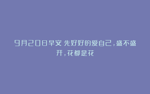 9月20日早安：先好好的爱自己，盛不盛开，花都是花
