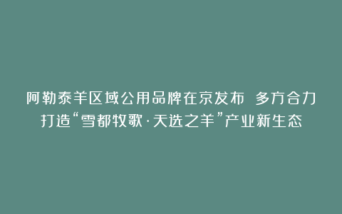 阿勒泰羊区域公用品牌在京发布 多方合力打造“雪都牧歌·天选之羊”产业新生态