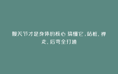 髋关节才是身体的核心：搞懂它，站桩、禅走、后弯全打通