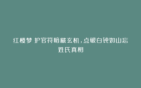 红楼梦：护官符暗藏玄机，点破白骨如山忘姓氏真相