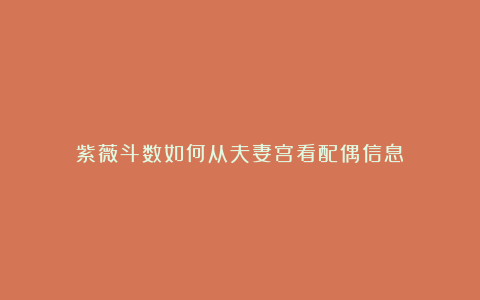 紫薇斗数如何从夫妻宫看配偶信息