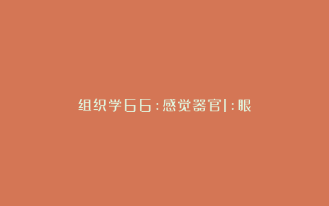 组织学66:感觉器官1:眼