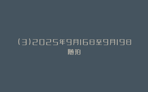 (3)2025年9月16日至9月19日随拍