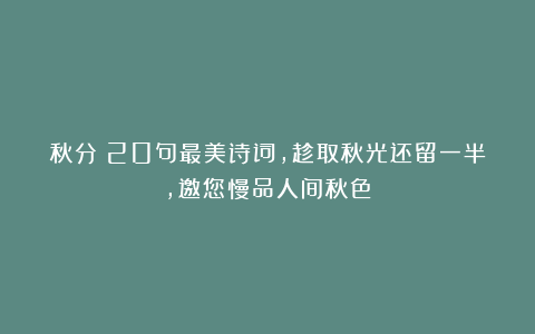 秋分：20句最美诗词，趁取秋光还留一半，邀您慢品人间秋色