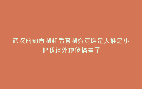 武汉的知音湖和后官湖究竟谁是大谁是小？把我这外地佬搞晕了
