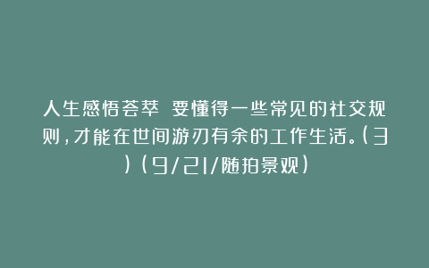 人生感悟荟萃：《要懂得一些常见的社交规则，才能在世间游刃有余的工作生活。(3)》(9/21/随拍景观)