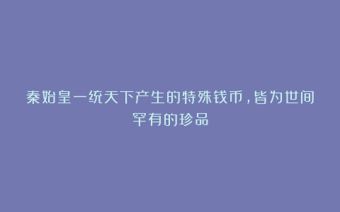 秦始皇一统天下产生的特殊钱币，皆为世间罕有的珍品