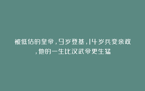 被低估的皇帝，9岁登基，14岁兵变亲政，他的一生比汉武帝更生猛
