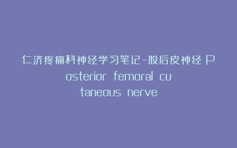 仁济疼痛科神经学习笔记-股后皮神经（Posterior femoral cutaneous nerve）