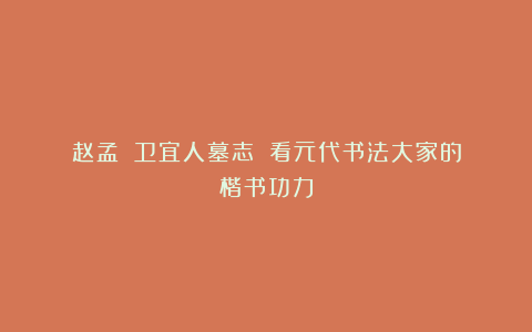 赵孟頫《卫宜人墓志》：看元代书法大家的楷书功力