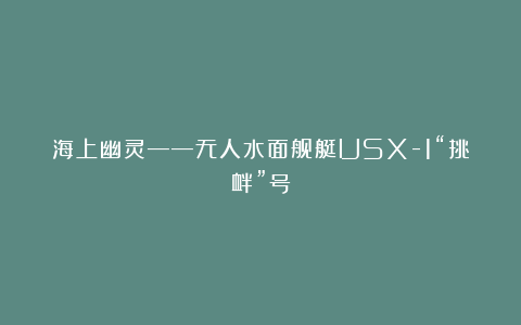 海上幽灵——无人水面舰艇USX-1“挑衅”号