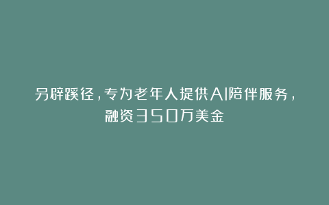 另辟蹊径，专为老年人提供AI陪伴服务，融资350万美金