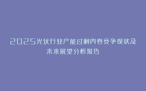 2025光伏行业产能过剩内卷竞争现状及未来展望分析报告