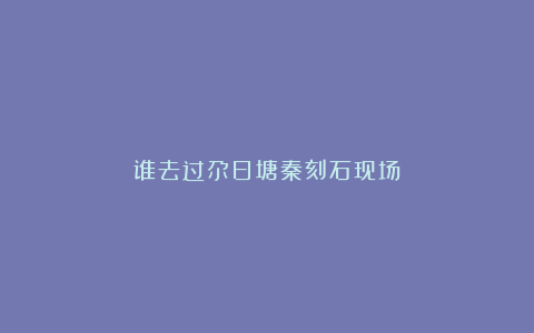 谁去过尕日塘秦刻石现场？
