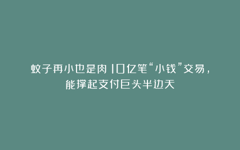 蚊子再小也是肉！10亿笔“小钱”交易，能撑起支付巨头半边天！