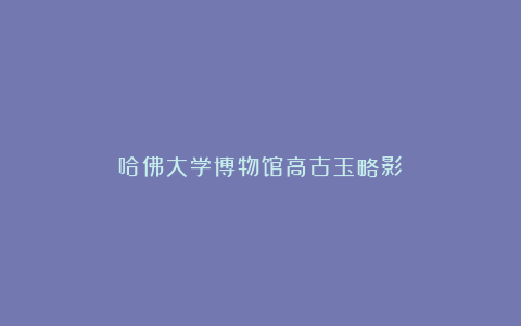 哈佛大学博物馆高古玉略影