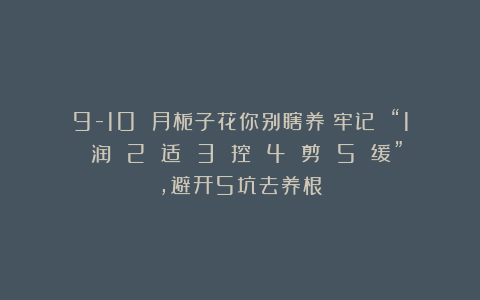 9-10 月栀子花你别瞎养！牢记 “1 润 2 适 3 控 4 剪 5 缓”，避开5坑去养根
