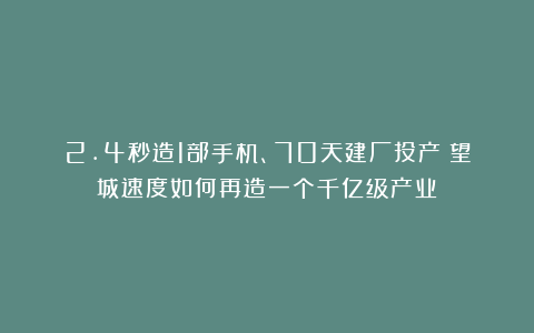 2.4秒造1部手机、70天建厂投产！望城速度如何再造一个千亿级产业